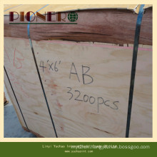 4*8′ Size Veneer Plb Poplar for India Market